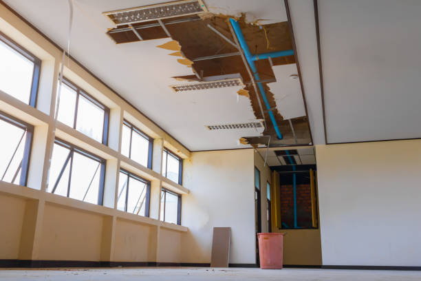Best Water damage contractors near me  in Poughkeepsie, NY