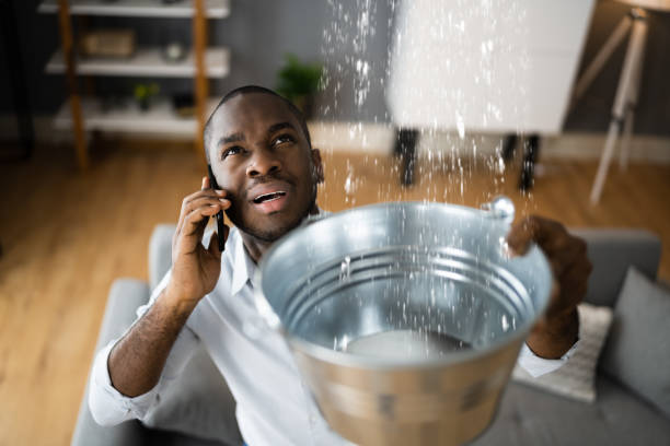 Best Carpet water damage restoration  in Poughkeepsie, NY
