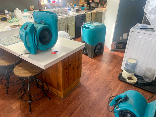 Best 24-hour water damage restoration  in Poughkeepsie, NY