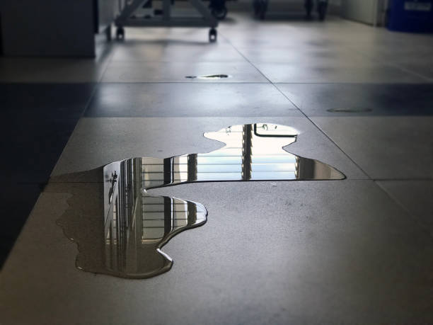 Best Commercial water damage restoration  in Poughkeepsie, NY