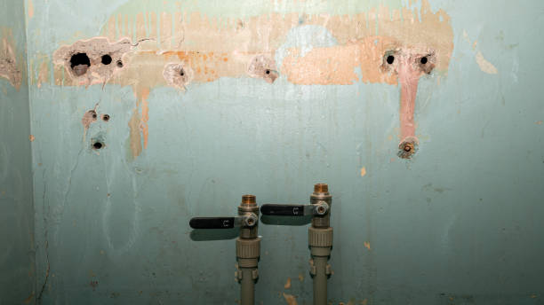 Water damage restoration mold remediation in NY